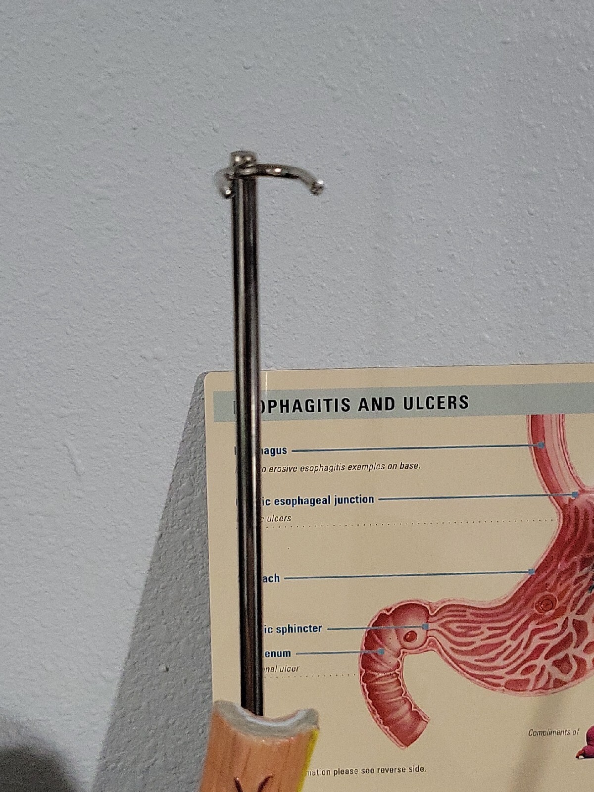 Vtg Prevacid & Zelnorm Doctor Pharmaceutical Display Esophagitis & Ulcers