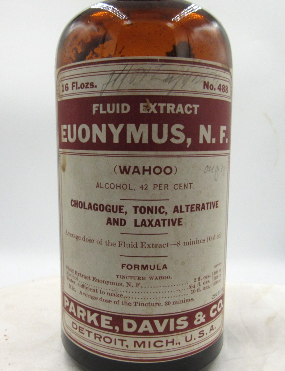 MM – 1920’s Parke, Davis & Co Detroit Mich Euonymus 7 3/8″ Amber Medicine bottle
