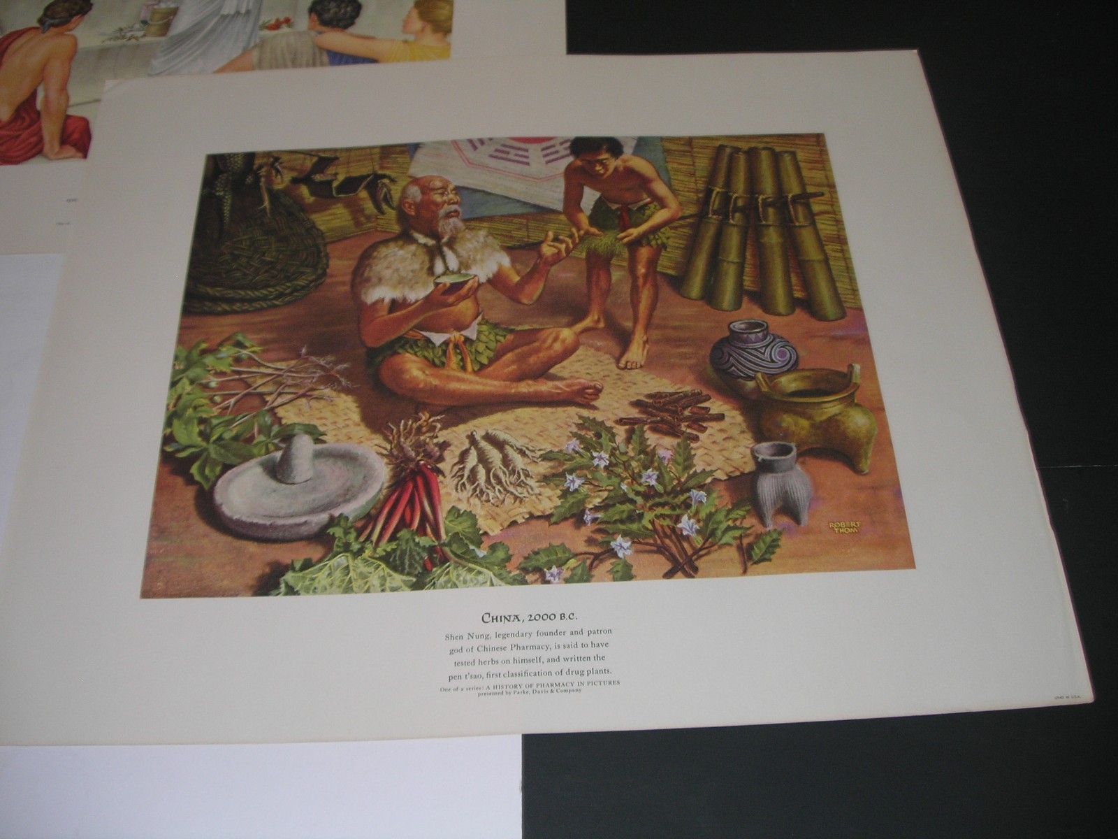 Vintage 1951 Set of 6 Parke Davis A History Of Pharmacy In Pictures Lithographs