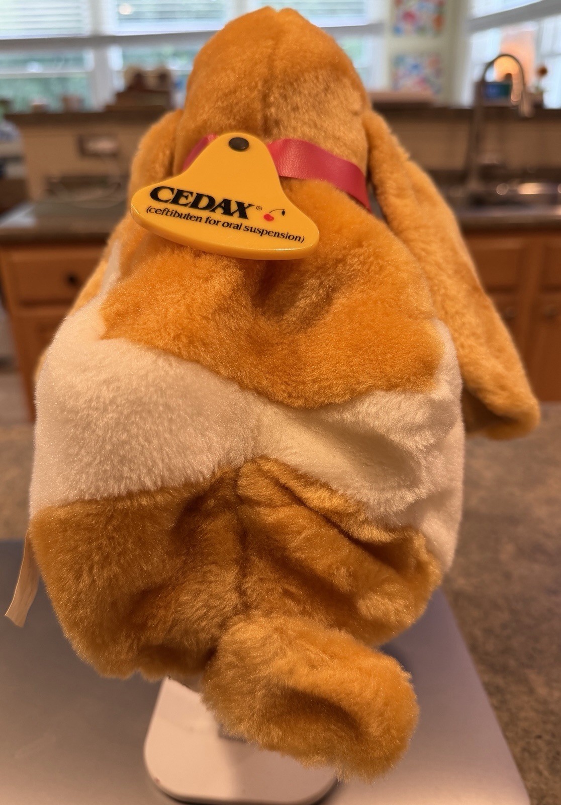 Vtg Cedax 7.5″ Pharmaceutical Advertising Drug Rep Promo Plush Hound Beagle Toy