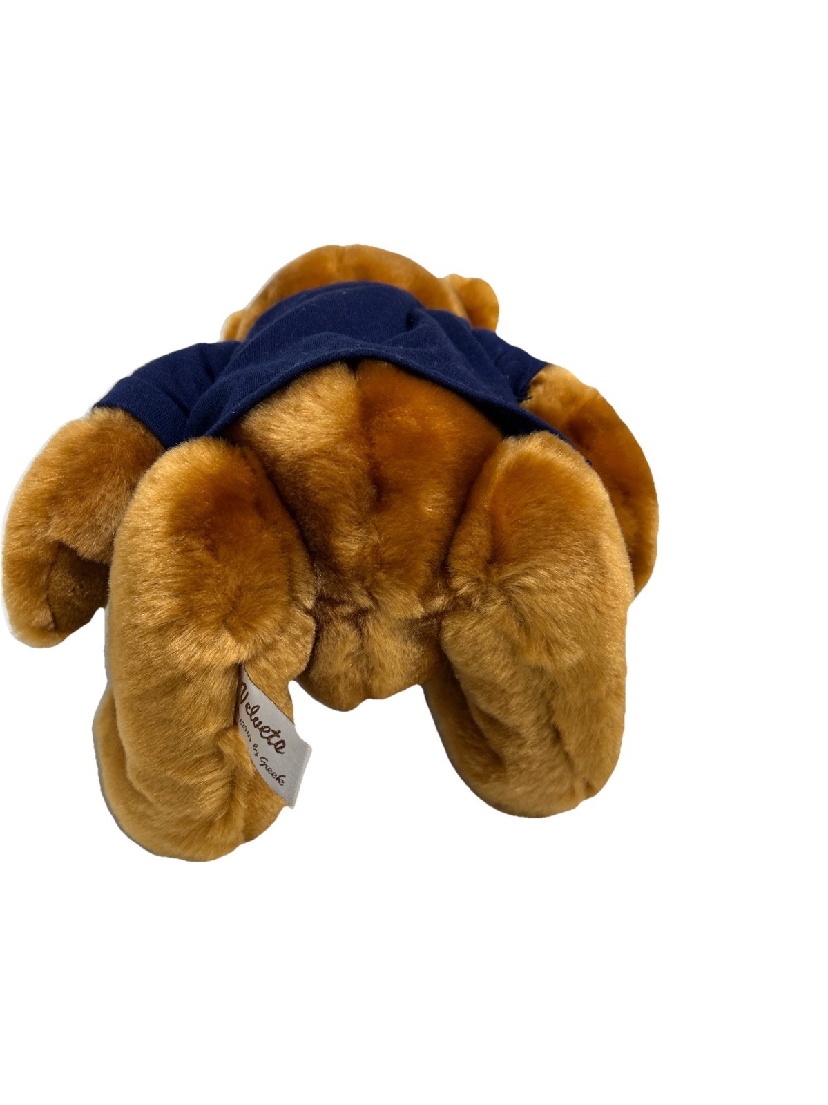 Pharmaceutical Drug Rep Advertisement TEV-TROPIN Plush Teddy Bear 12” Bean Bag