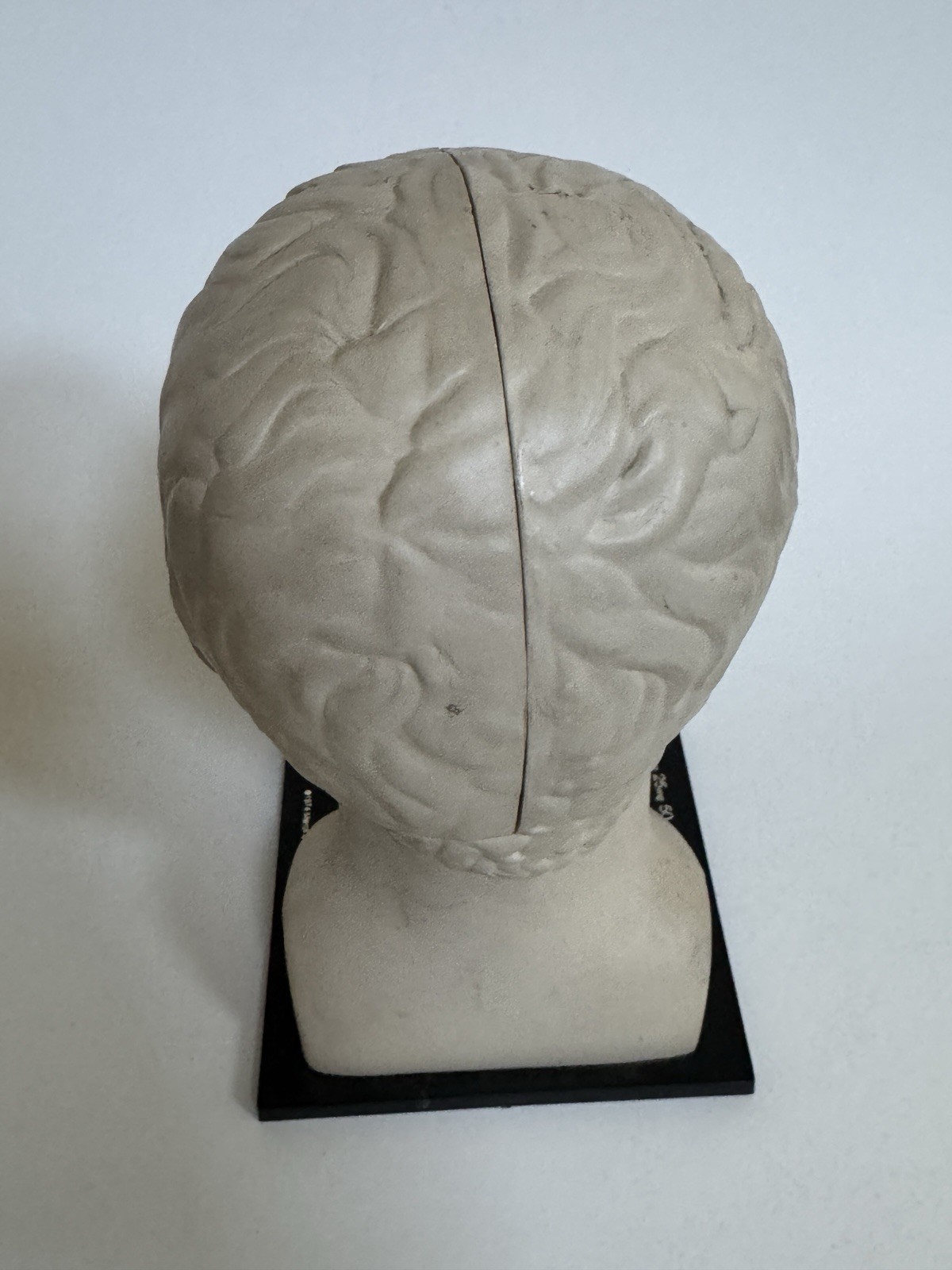 1974 Elavil MSD Merck Sharp Dohme Medical Head and Brain Advertising Display 8″