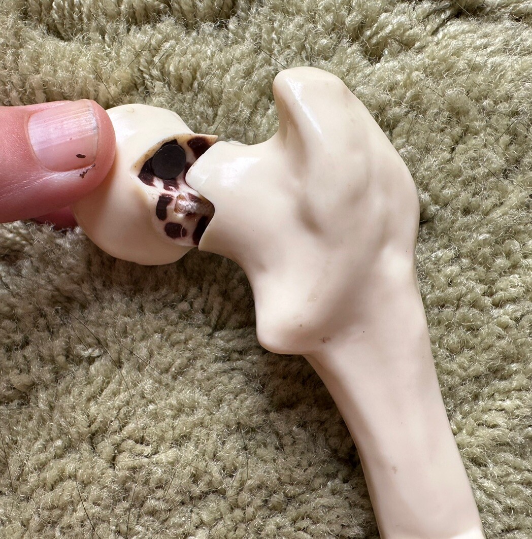 Premarin Faux Bone Drug Rep Model Advertisement