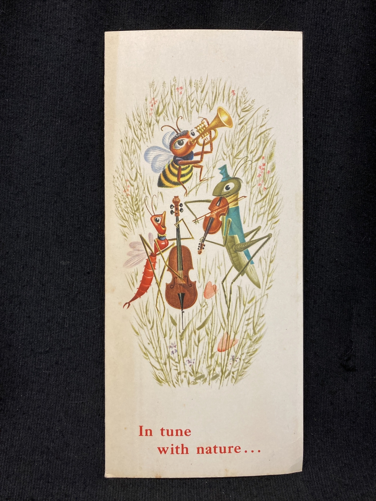 PERAZIL Allergy medicine brochure IN TUNE WITH NATURE Burroughs & Wellcome VTG