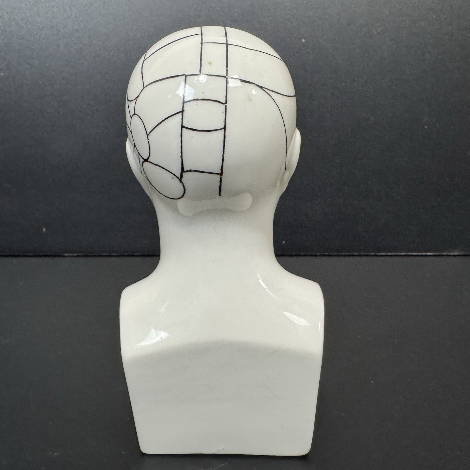 Schering TRIFALON Full-Range Tranquilizer Phrenology Head Ceramic Bust 1960s