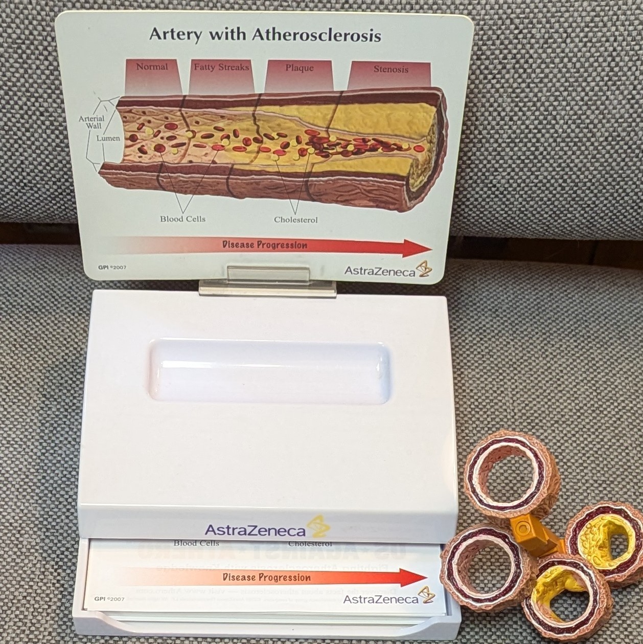 Drug Rep Promo Cholesterol Artery Display Model w Educ. Flyers AstraZeneca