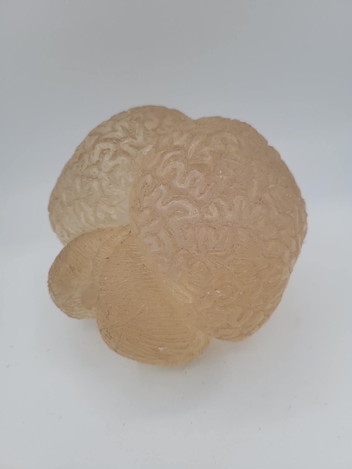 Vintage Lucite Acrylic Brain Cerebellum Model Medical Pharmaceutical Science