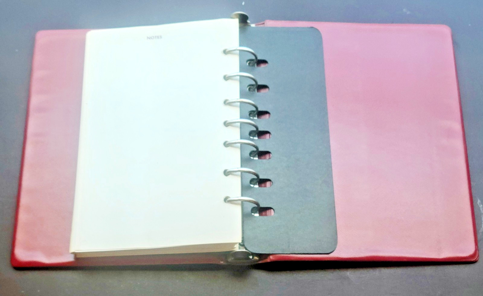 1982 Parke Davis Pharmaceutical Sales Rep Price Guide 7-Ring Binder Catalog VTG