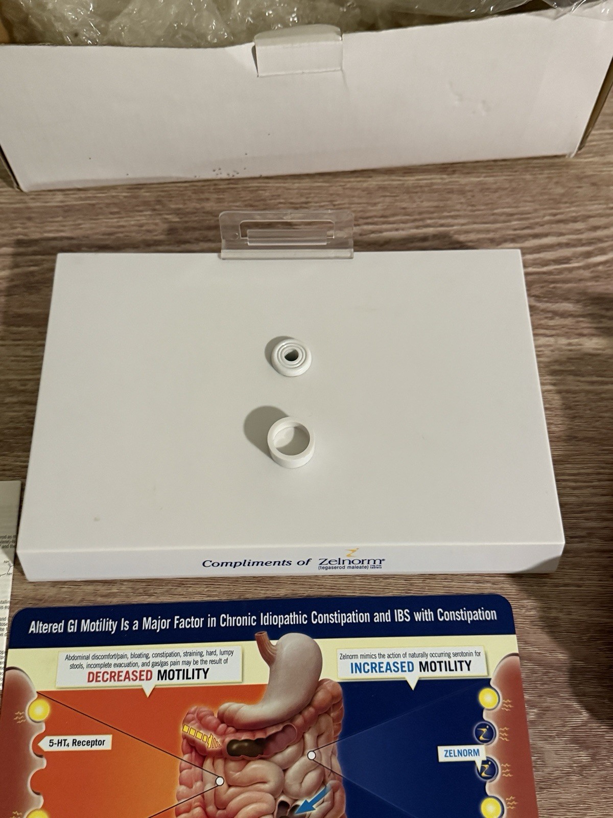 Vintage Digestive System Model / Zelnorm Drug Rep Display of the GI System