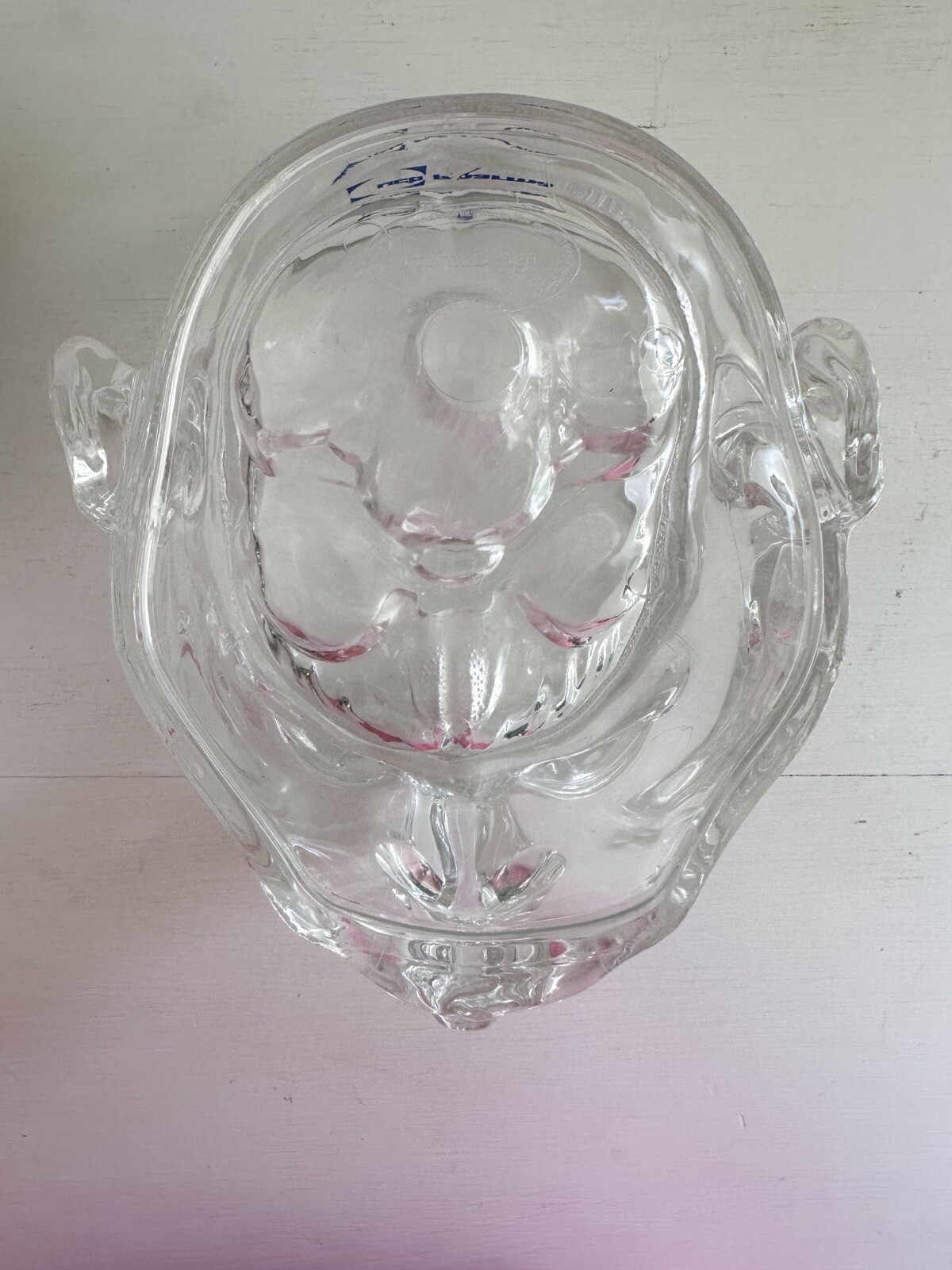 UCB Pharma Lucite Head Skull Brain Model Medical Pharmaceutical Science Display