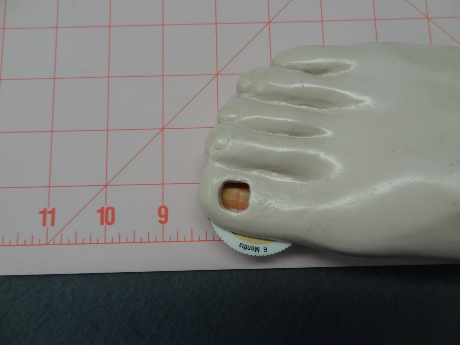 Janssen Sporanox Capsule Foot Display Model Prop Doctor Office Advertisement EUC
