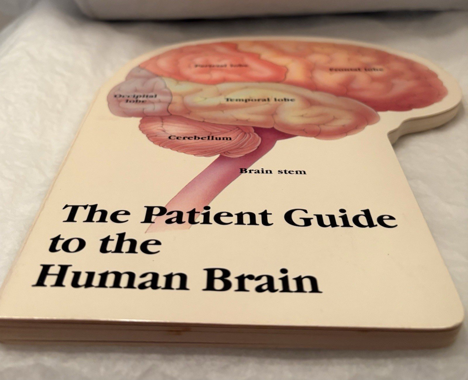 VTG 1990 TEGRETOL “PATIENT GUIDE TO THE HUMAN BRAIN” PHARMA LOGO ADVERTISING