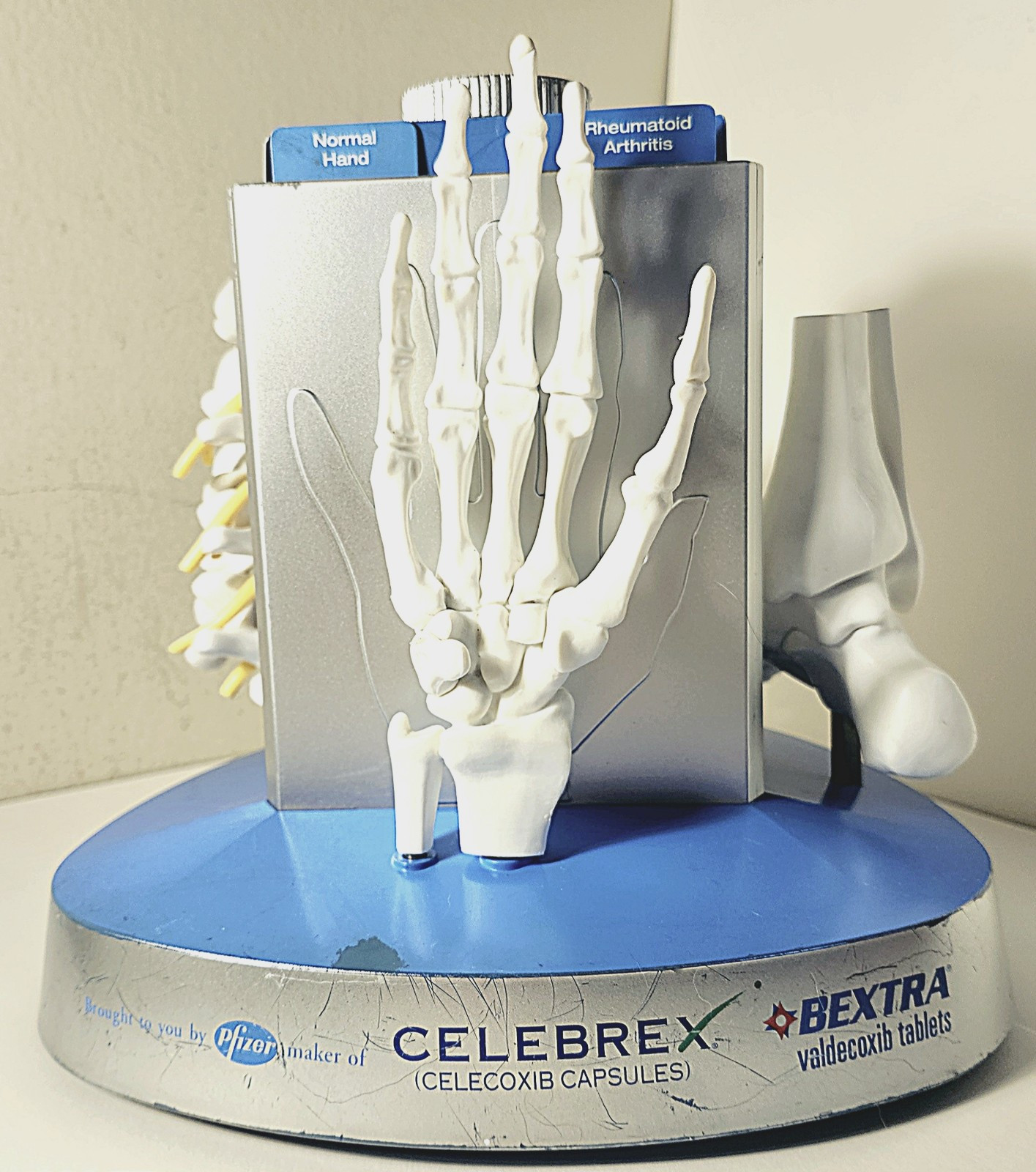 “Anatomical Arthritis Model” Of a Hand, Foot, & Spine ~Pfizer~ Celebrex/Bextra