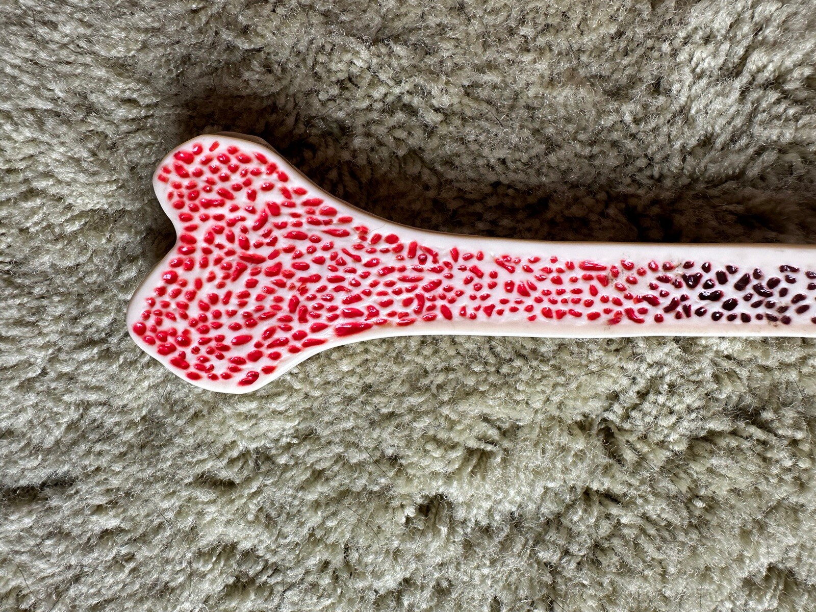 Premarin Faux Bone Drug Rep Model Advertisement