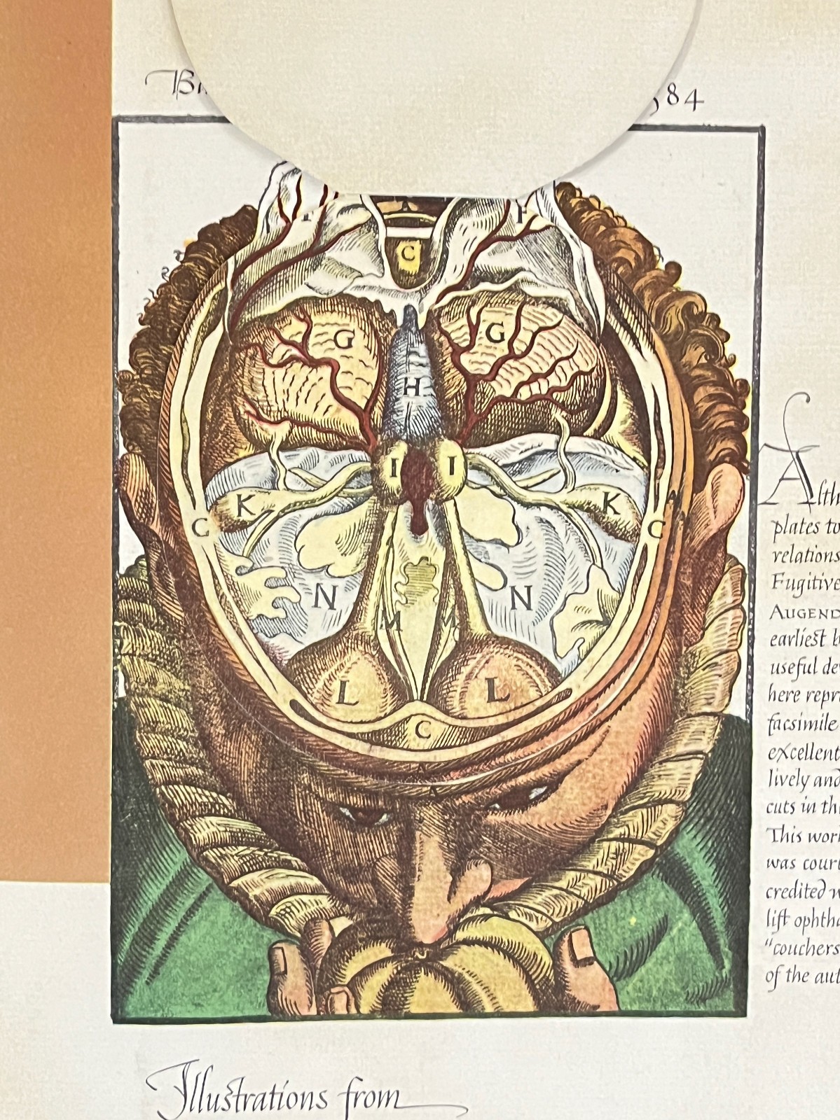 Abbott Laboratories Christmas Magazine 1953