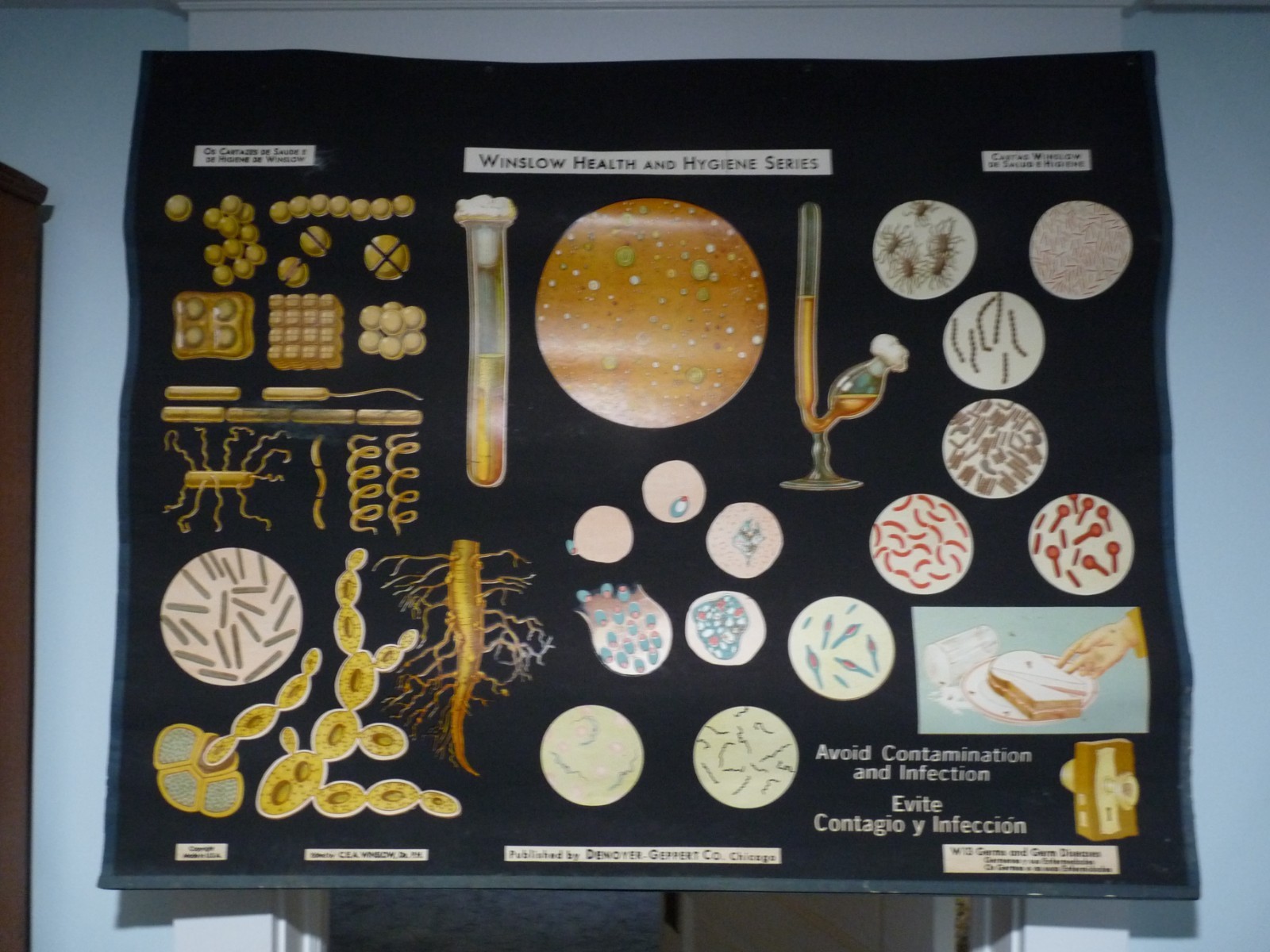“GERMS & GERM DISEASES” 1930S PULL DOWN MEDICAL CHART , DENOYER GEPPERT 44X36