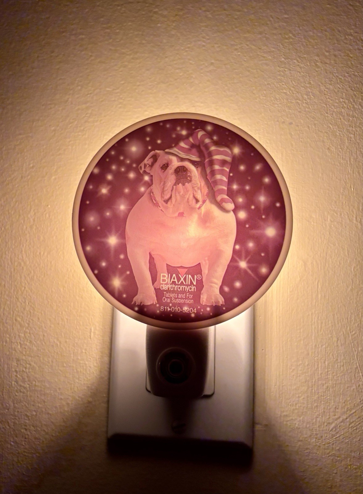 Pharmaceutical Advertising Promo Automatic Night Light Biaxin Novelty Bulldog