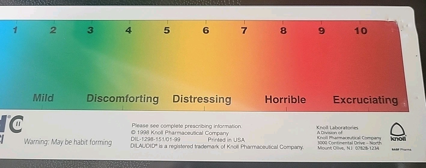 DILAUDID HYDROMORPHONE PAIN SCALE RULER Plastic -Pharmaceutical Rare Promo