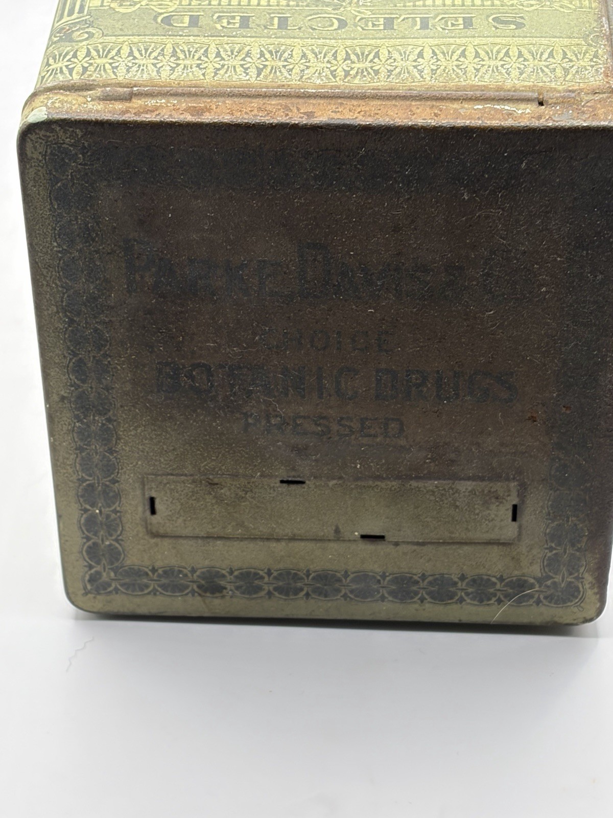 VTG/Antique Park, Davis & Co Choice Botanic Drugs Pressed Pennyroyal