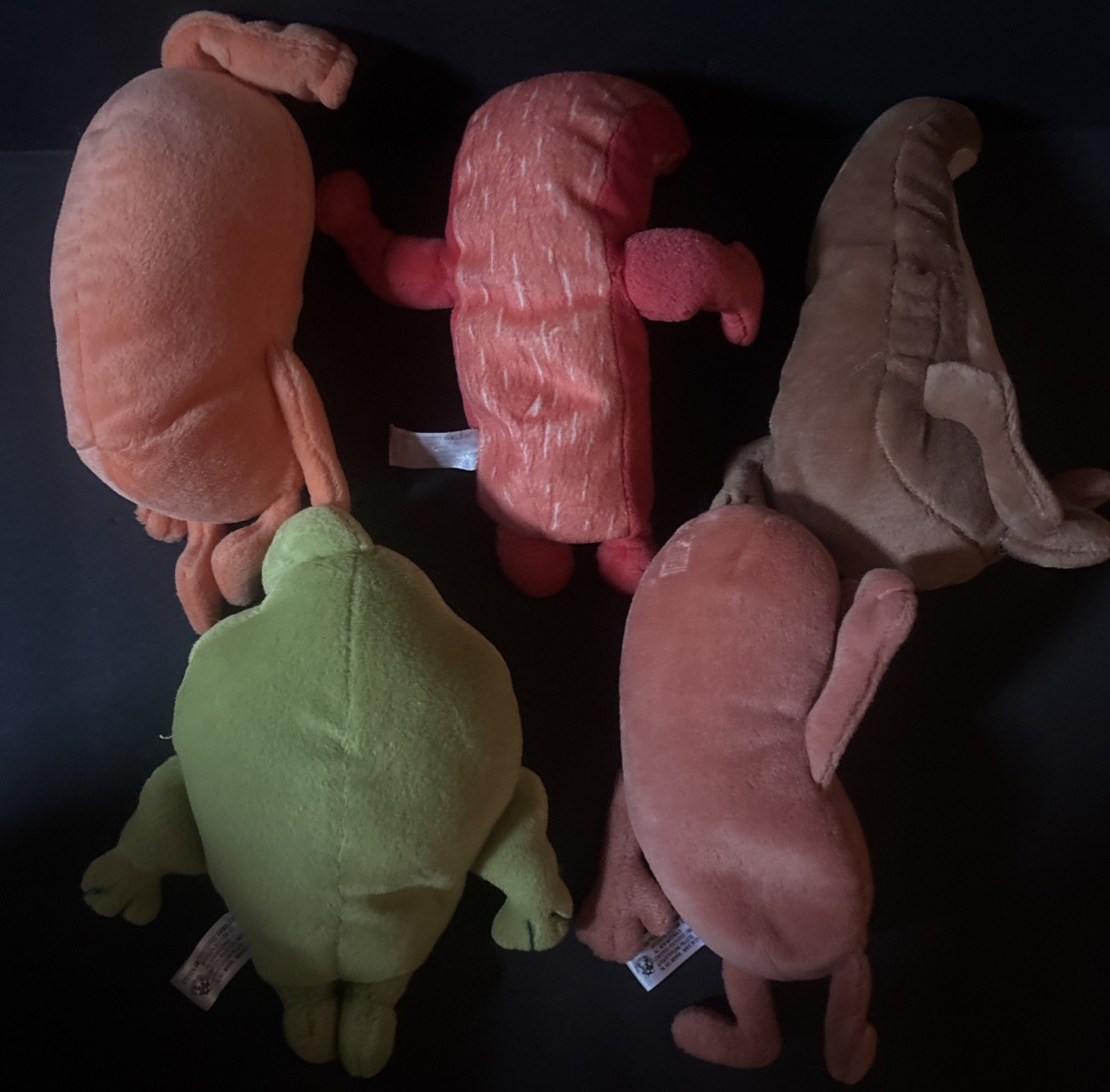 Steven Smith Drug rep Actos stuffed plush Organs For Diabetes Training (5)