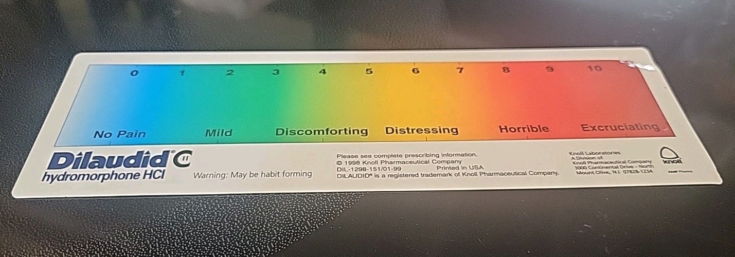 DILAUDID HYDROMORPHONE PAIN SCALE RULER Plastic -Pharmaceutical Rare Promo