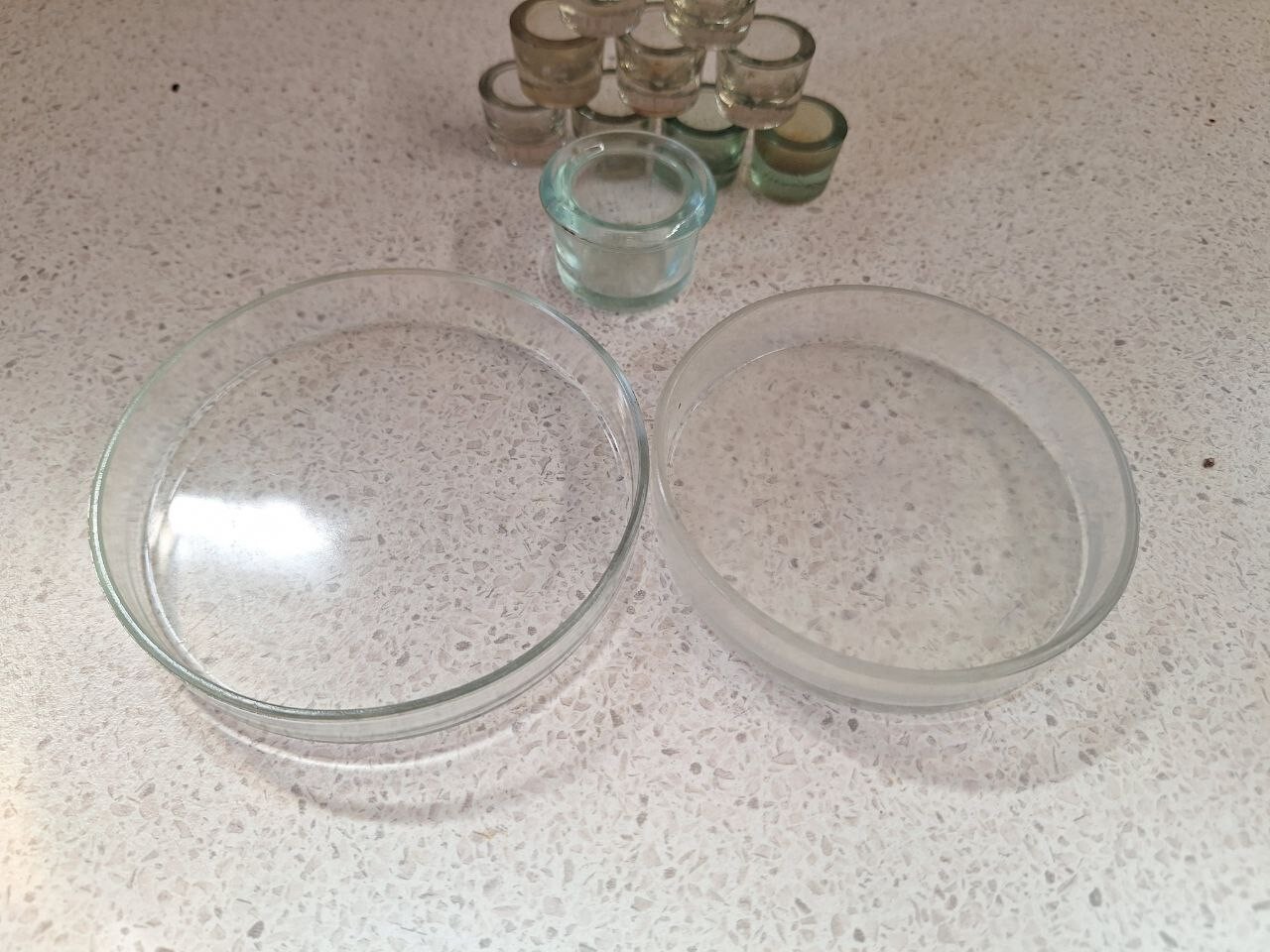Small Medical Cup Measure, Petri Dishes, Chemical jar, Laboratory glassware 12pc