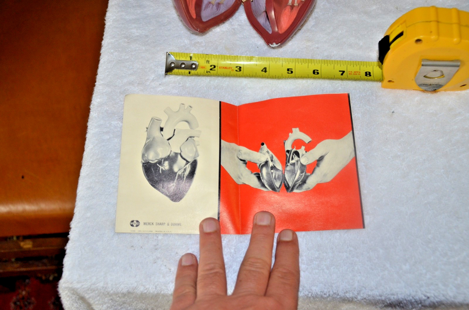 1960’s Merck Sharp Dohme Aldomet Heart Model Pharmaceutical Ad Methyldopa MSD