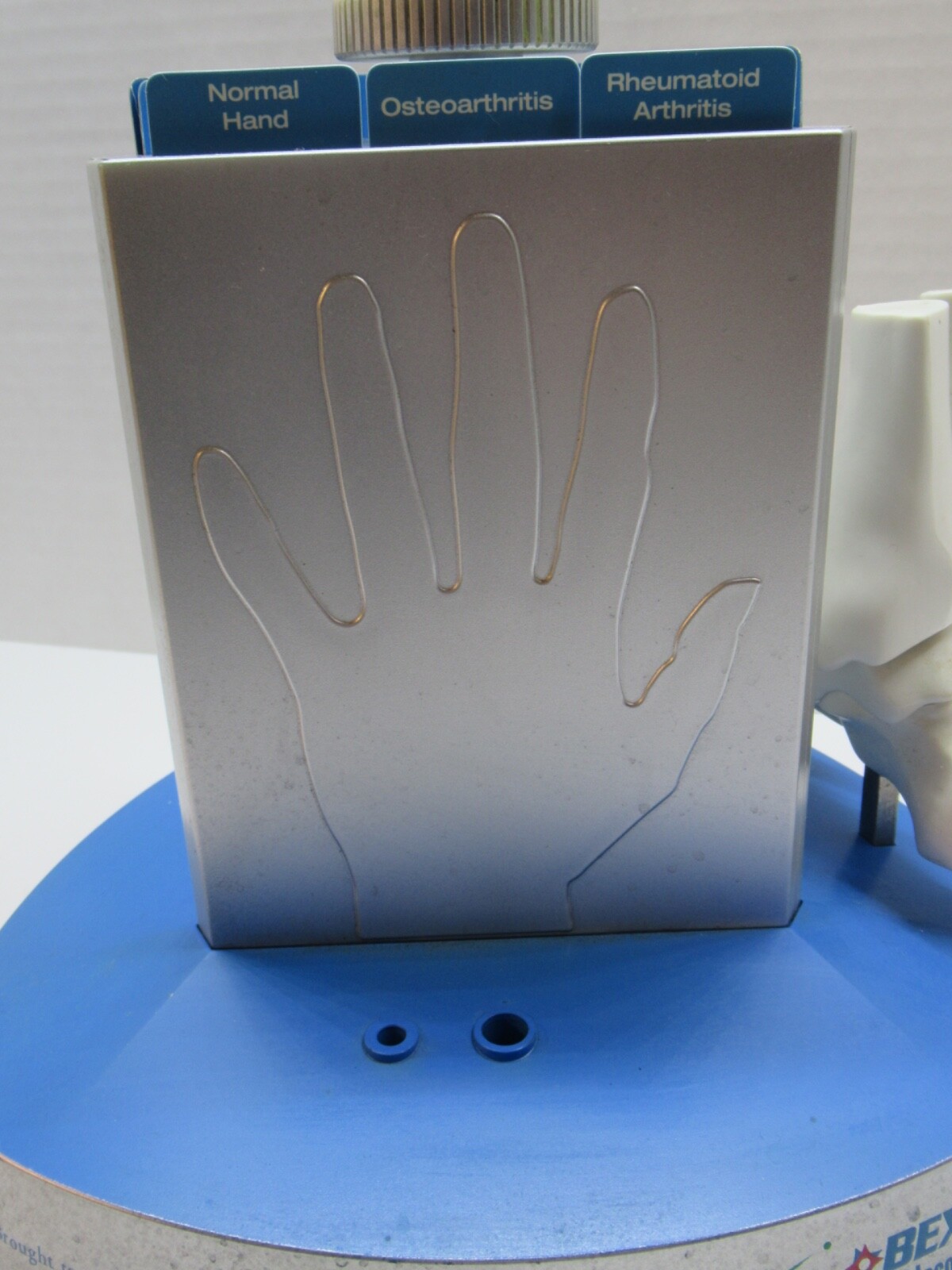 Pfizer Pharmaceutical Advertisement Celebrex Bextra Arthritis Display Model