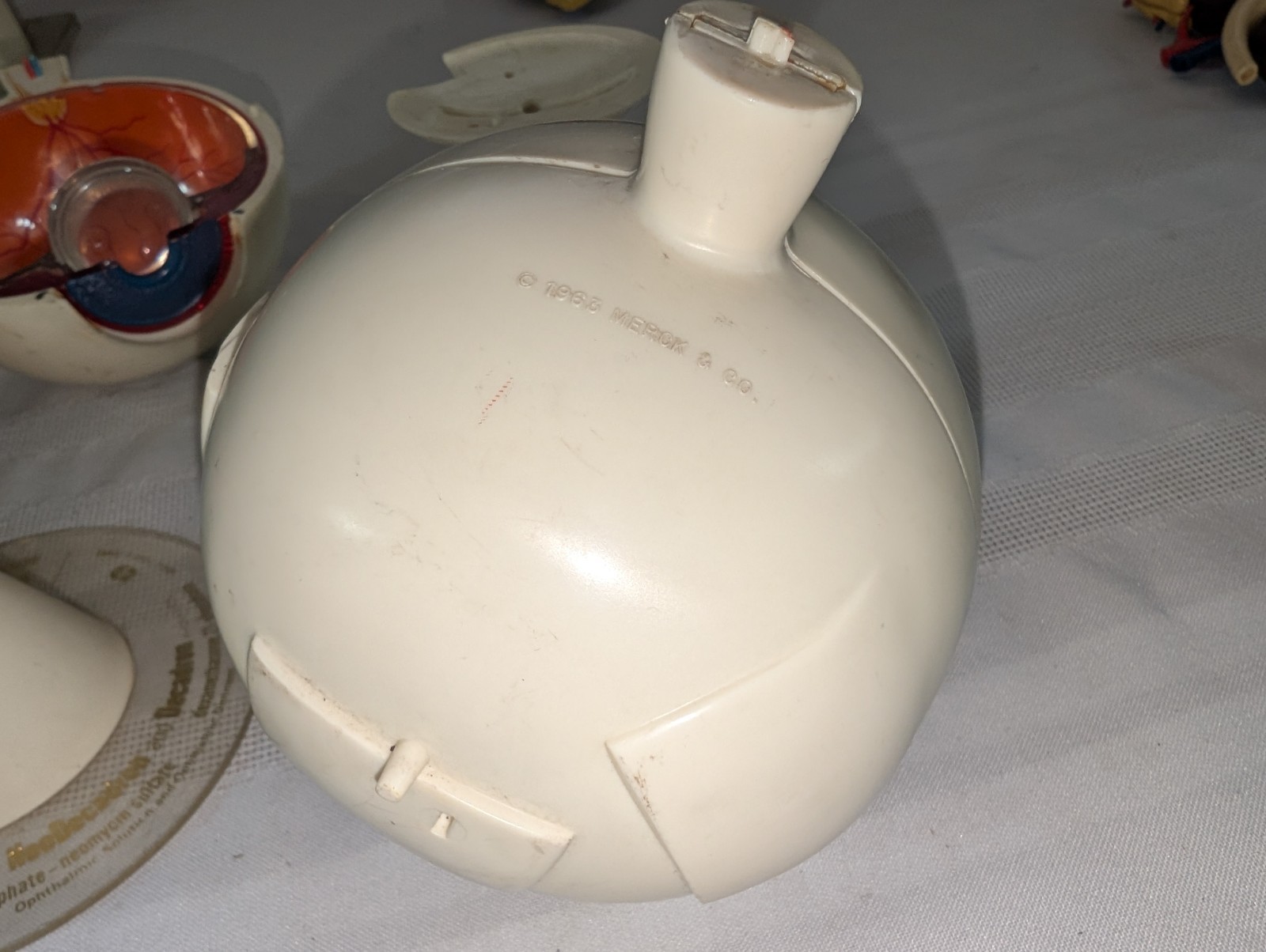 1960s Merck Pharmaceutical Advertising Model “Aldomet Methyldopa” Eye Model
