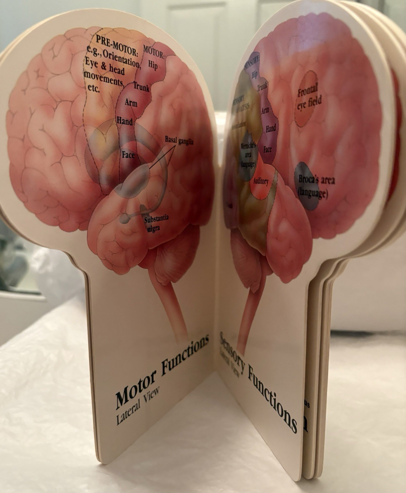 VTG 1990 TEGRETOL “PATIENT GUIDE TO THE HUMAN BRAIN” PHARMA LOGO ADVERTISING