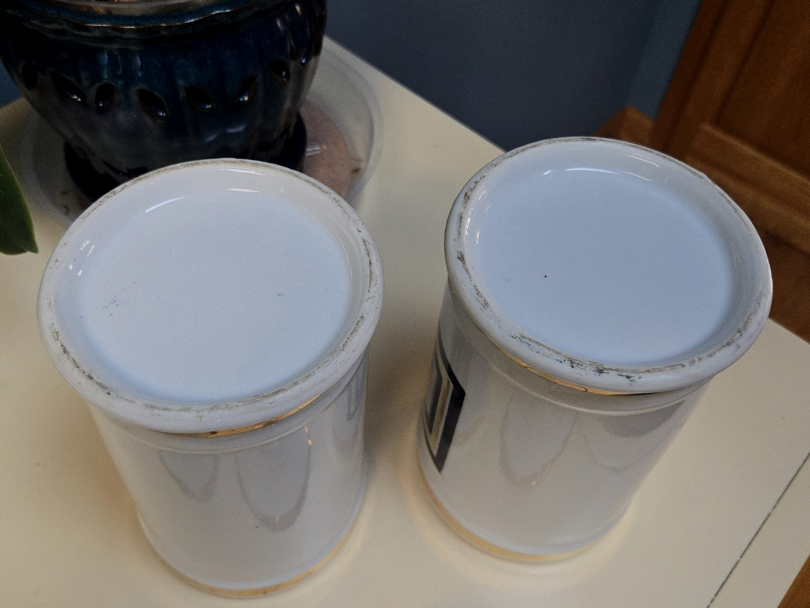 2 Antique Apothecary Jars Porcelain Palma Christi and Lactuca Sativa