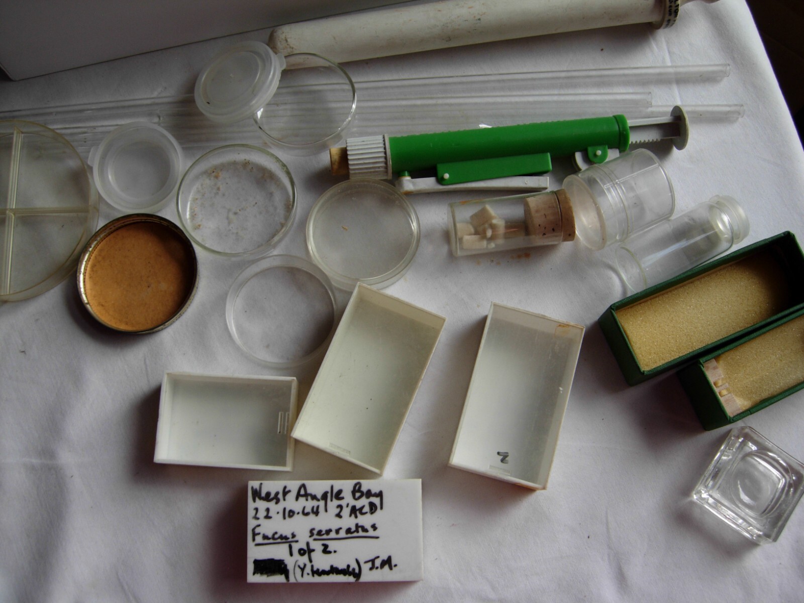 Collection interestesting scientific glassware dishes, slides, tubes