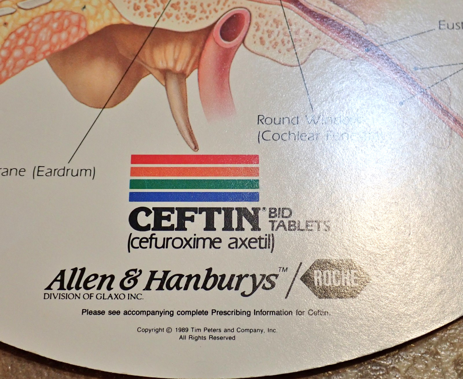 Lot of 4 Respiratory Tract Infections Wheel Medical Displays CEFTIN Advertising