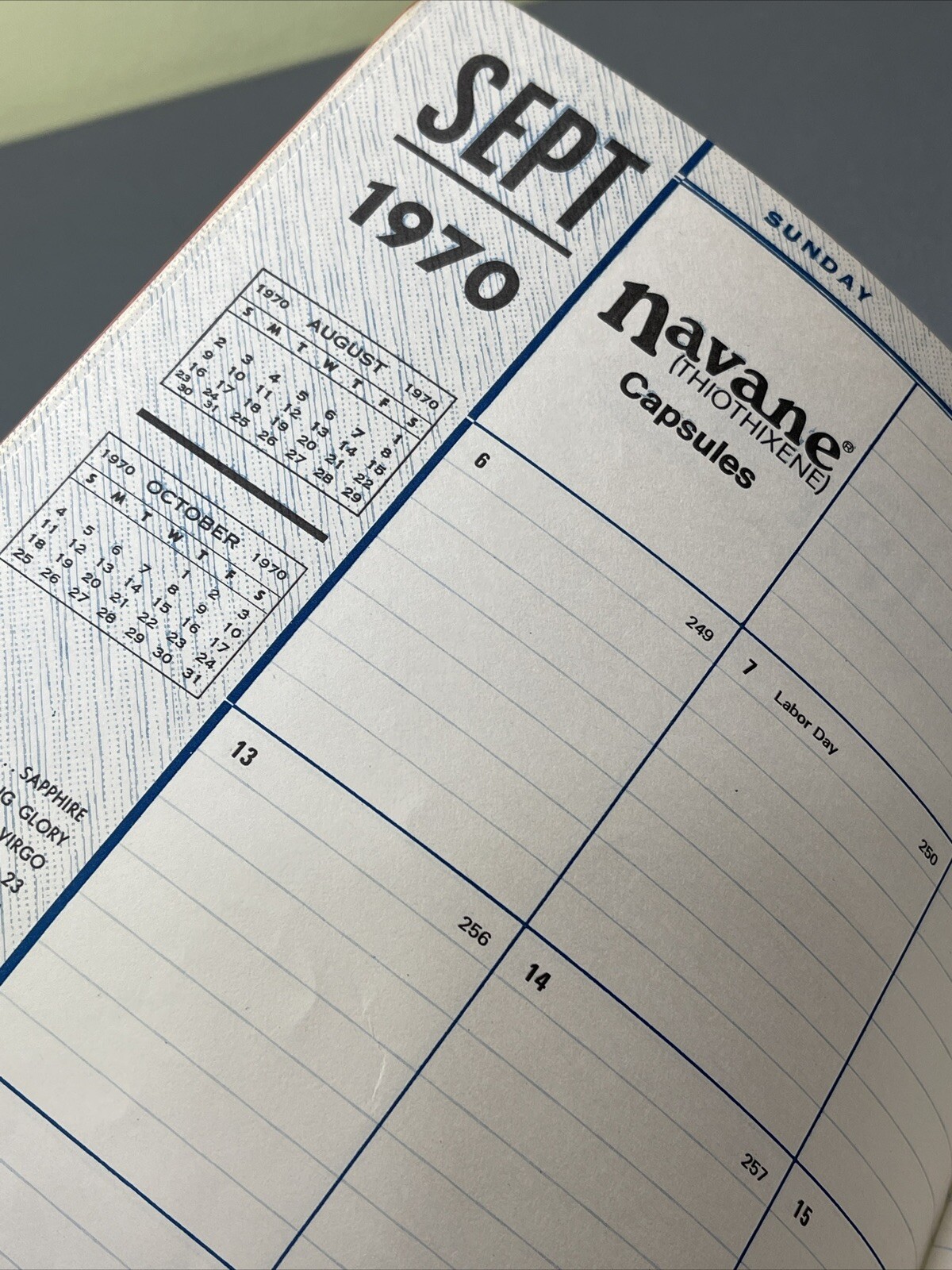 Rare Red Calendar Planner Book 1970 Drug Rep Pharmaceutical Promo Roerig Logos
