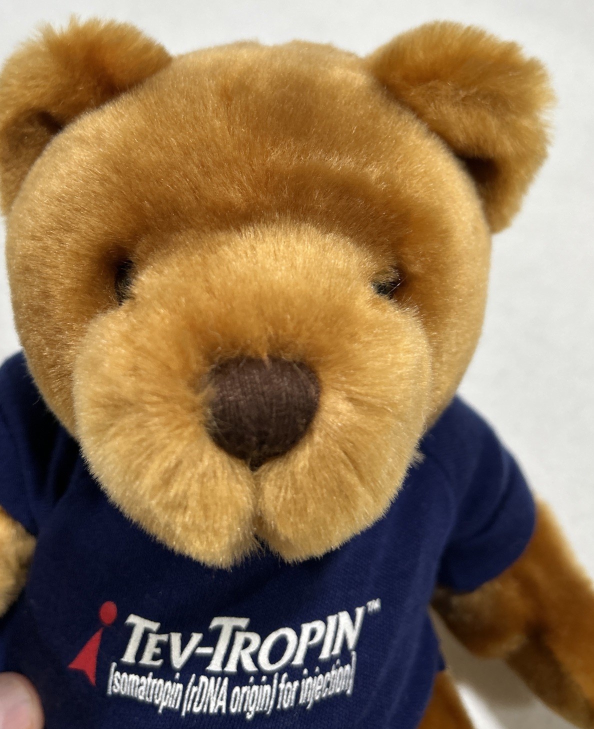 Pharmaceutical Drug Rep Advertisement TEV-TROPIN Plush Teddy Bear 12” Bean Bag