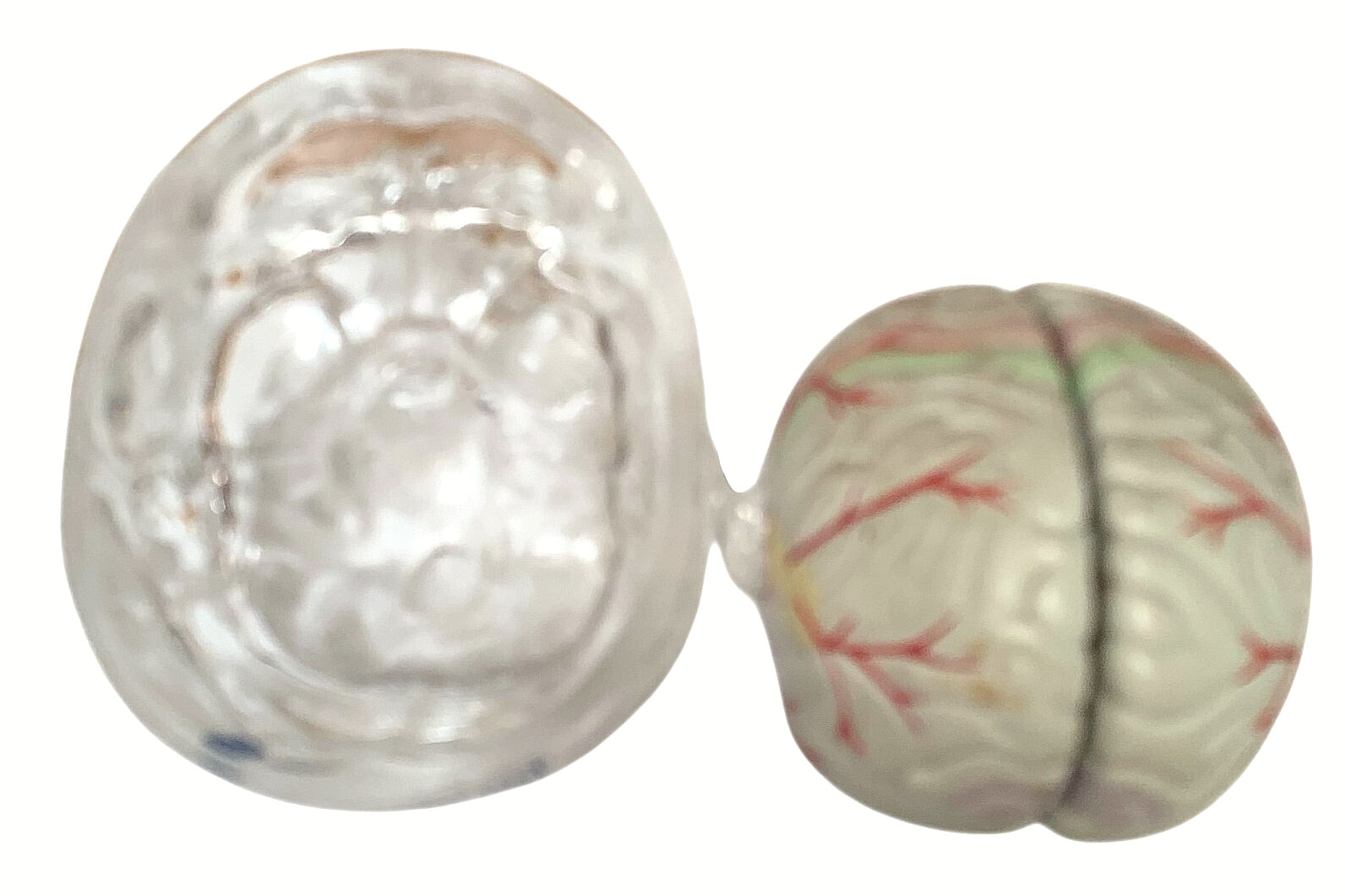 Vintage Seroquel Head Brain Anatomy Pharma Design Sales Display Removable Brain