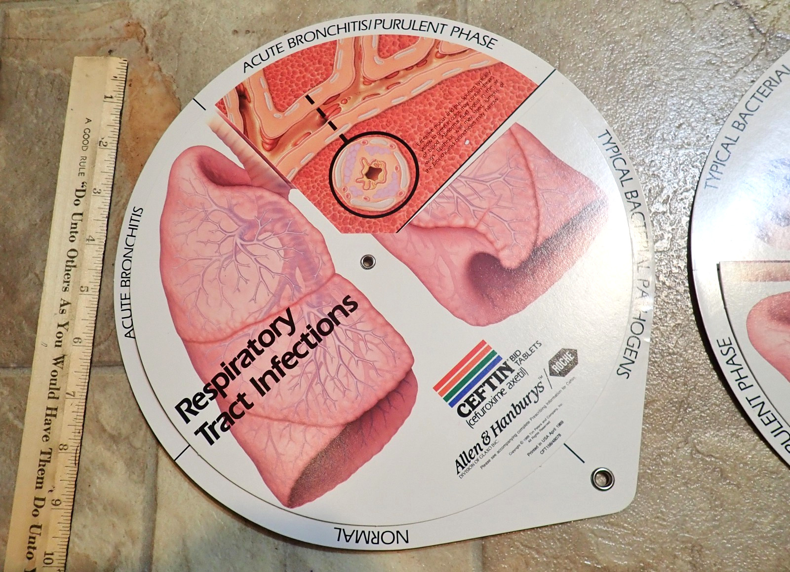 Lot of 4 Respiratory Tract Infections Wheel Medical Displays CEFTIN Advertising