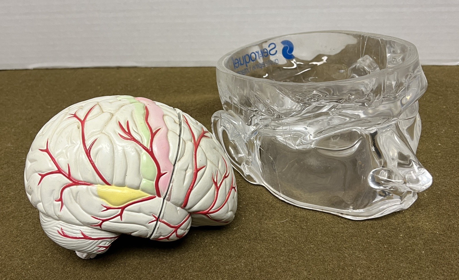 Seroquel Brain Model Pharmaceutical Advertising Display Research