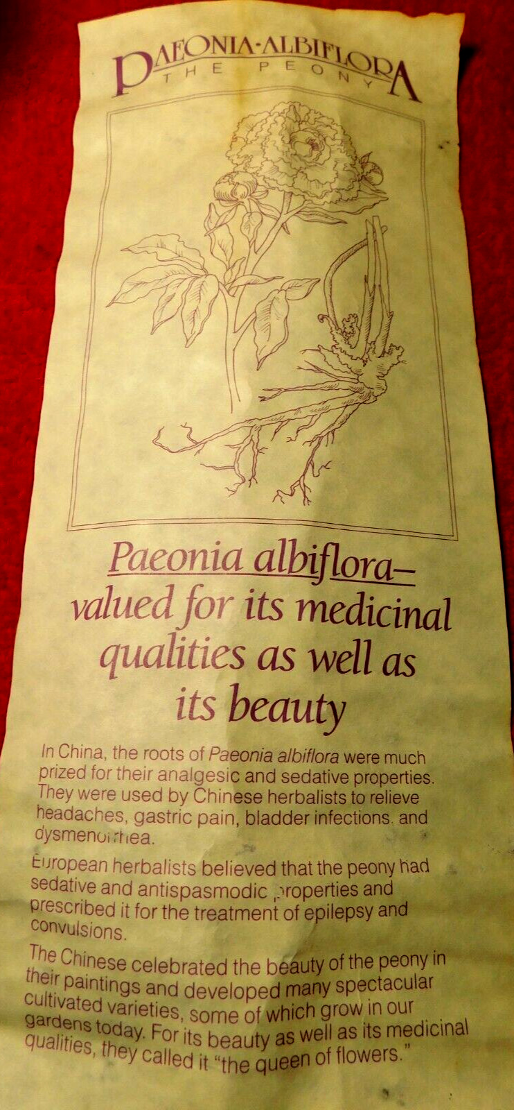 C/J~Apothecary Jar Eli Lilly “Paeonia Albiflora” Pharmaceutical 4-58 Blue Empty