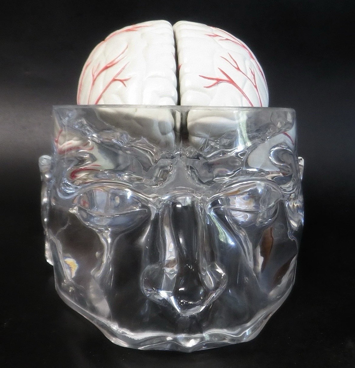 Seroquel Rx Skull Brain Science Model Medical Pharmaceutical Ad Premium Display