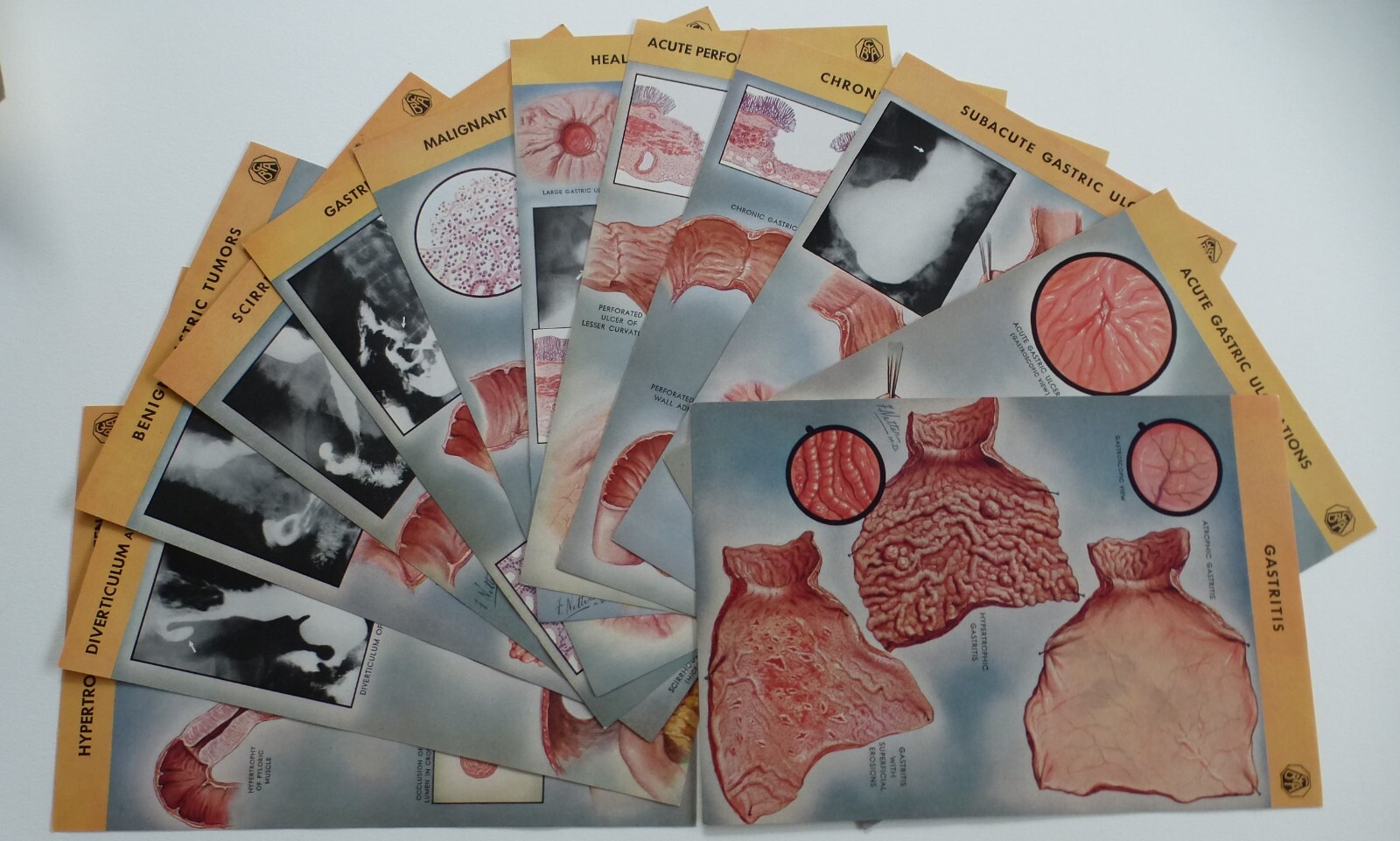 18 Ciba Pharmaceutical Folders w/ Color Plates – Pathology Anatomy War Injuries