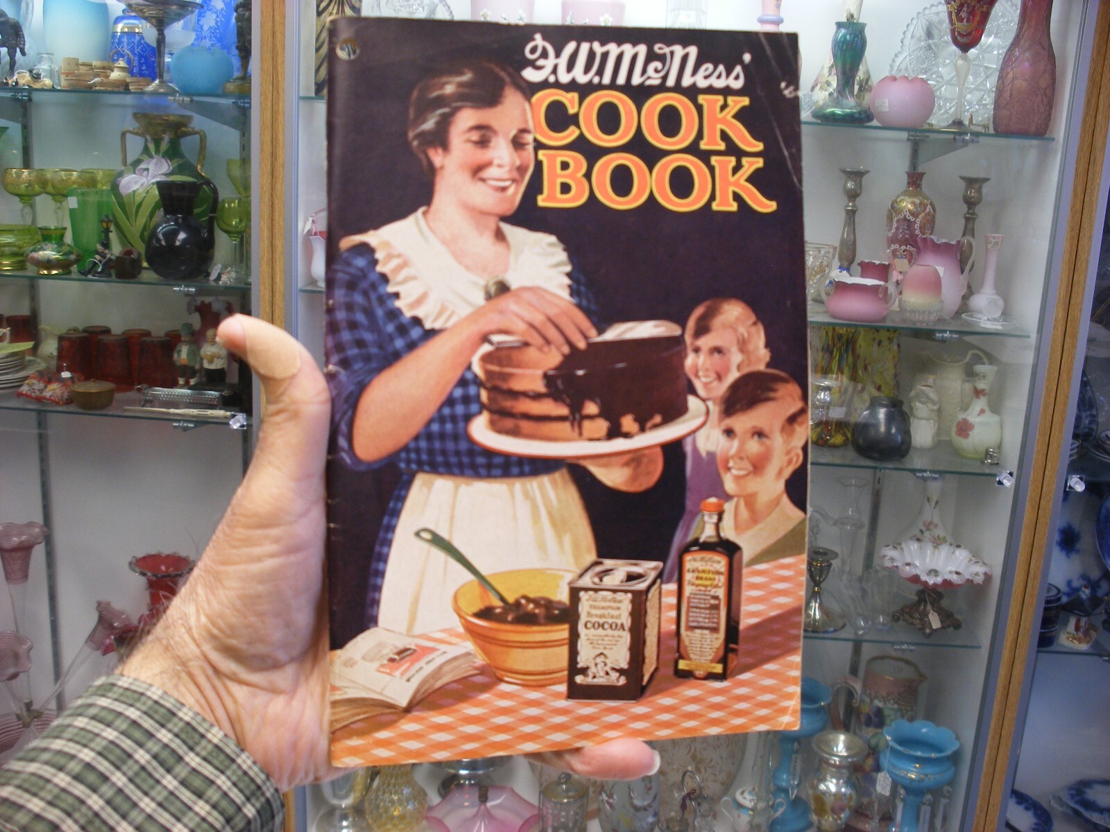 Vtg 1933 F. W. McNess Co. Freeport IL Pharmacy Medical Cure Cookbook