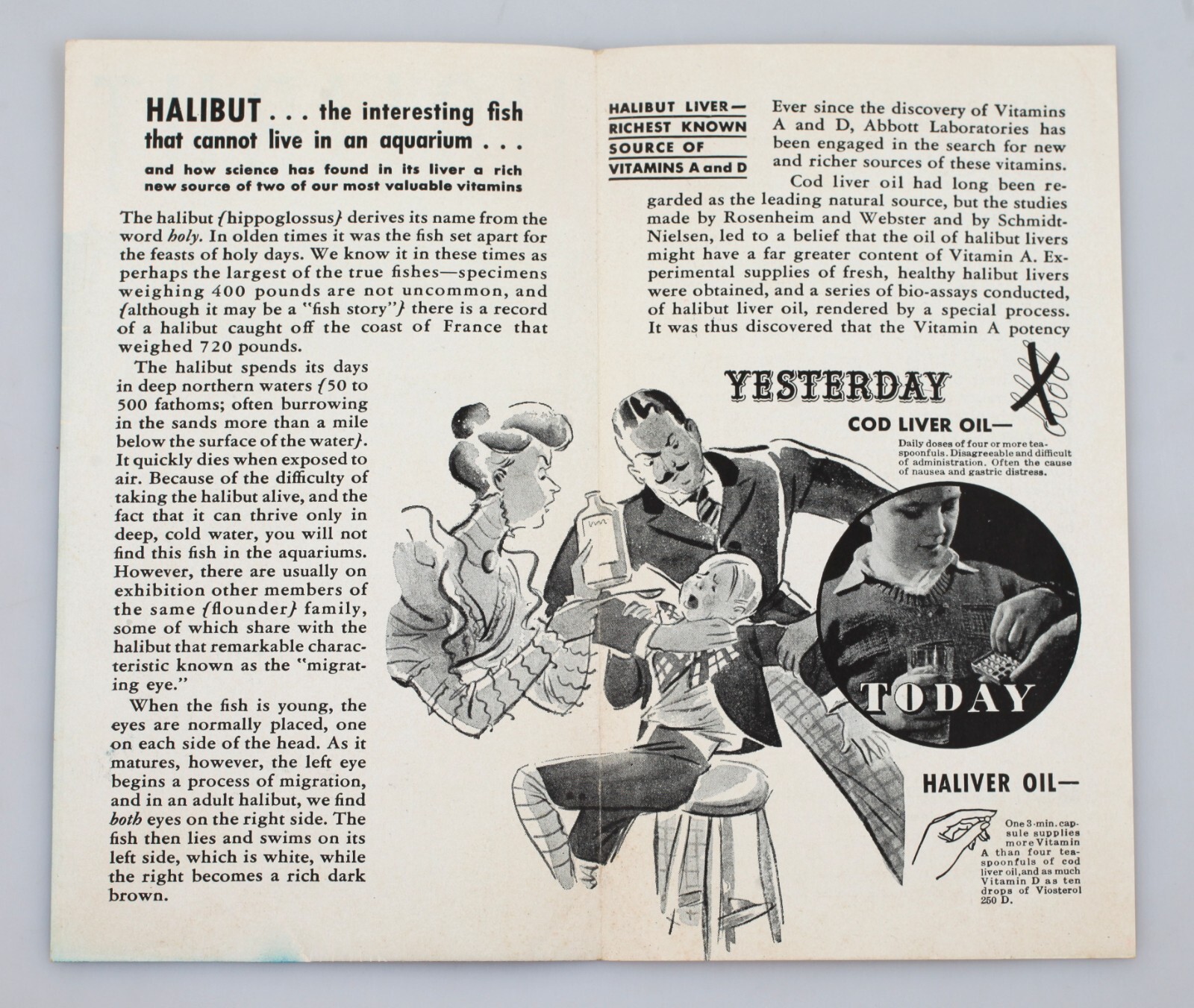 Vintage Abbott Labs Advertising Brochure Haliver Oil Halibut Interesting Fish