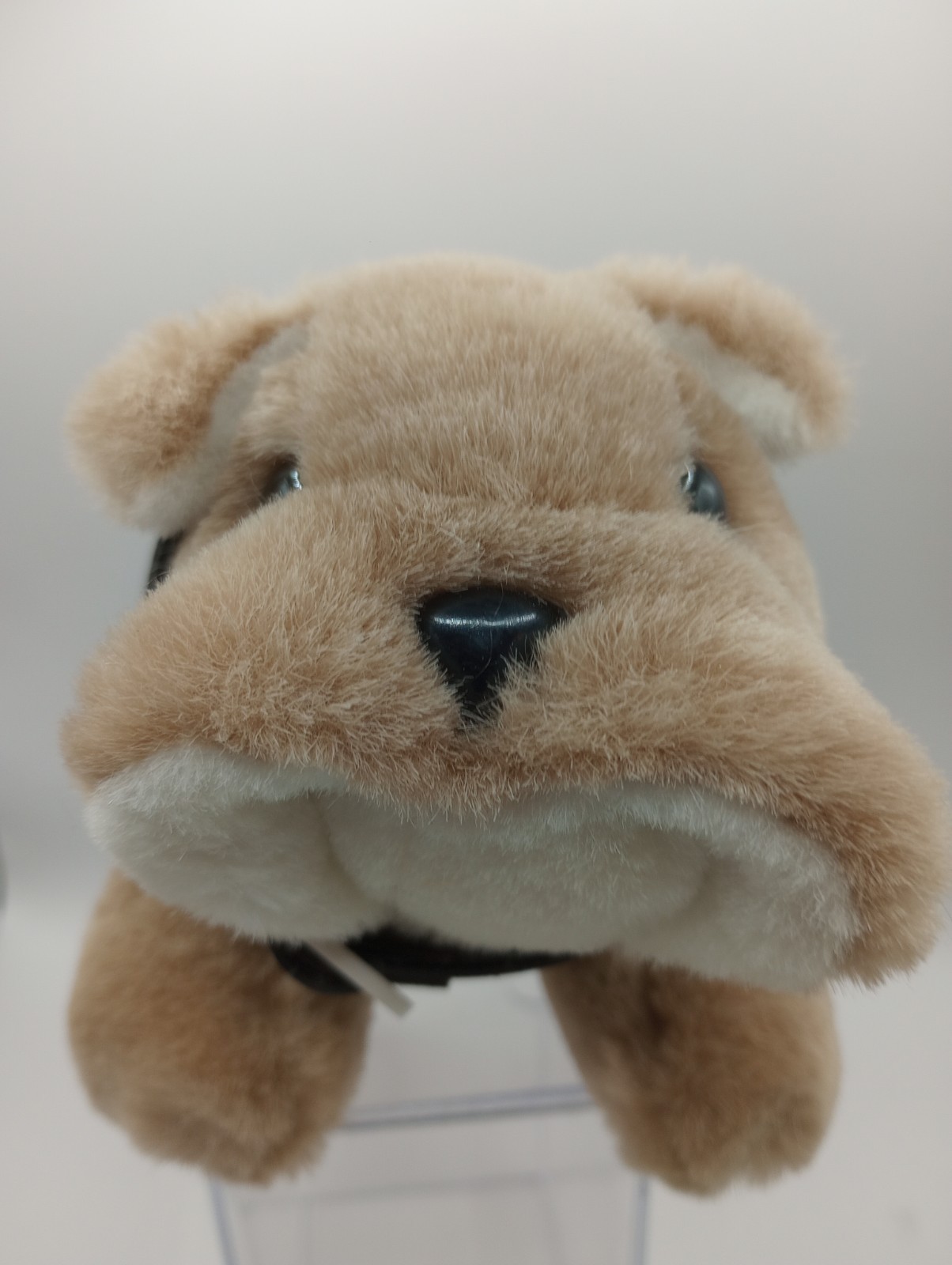 Biaxin 9″ Bix English Bulldog Drug Rep Promo Dog Stuffed Animal Plush