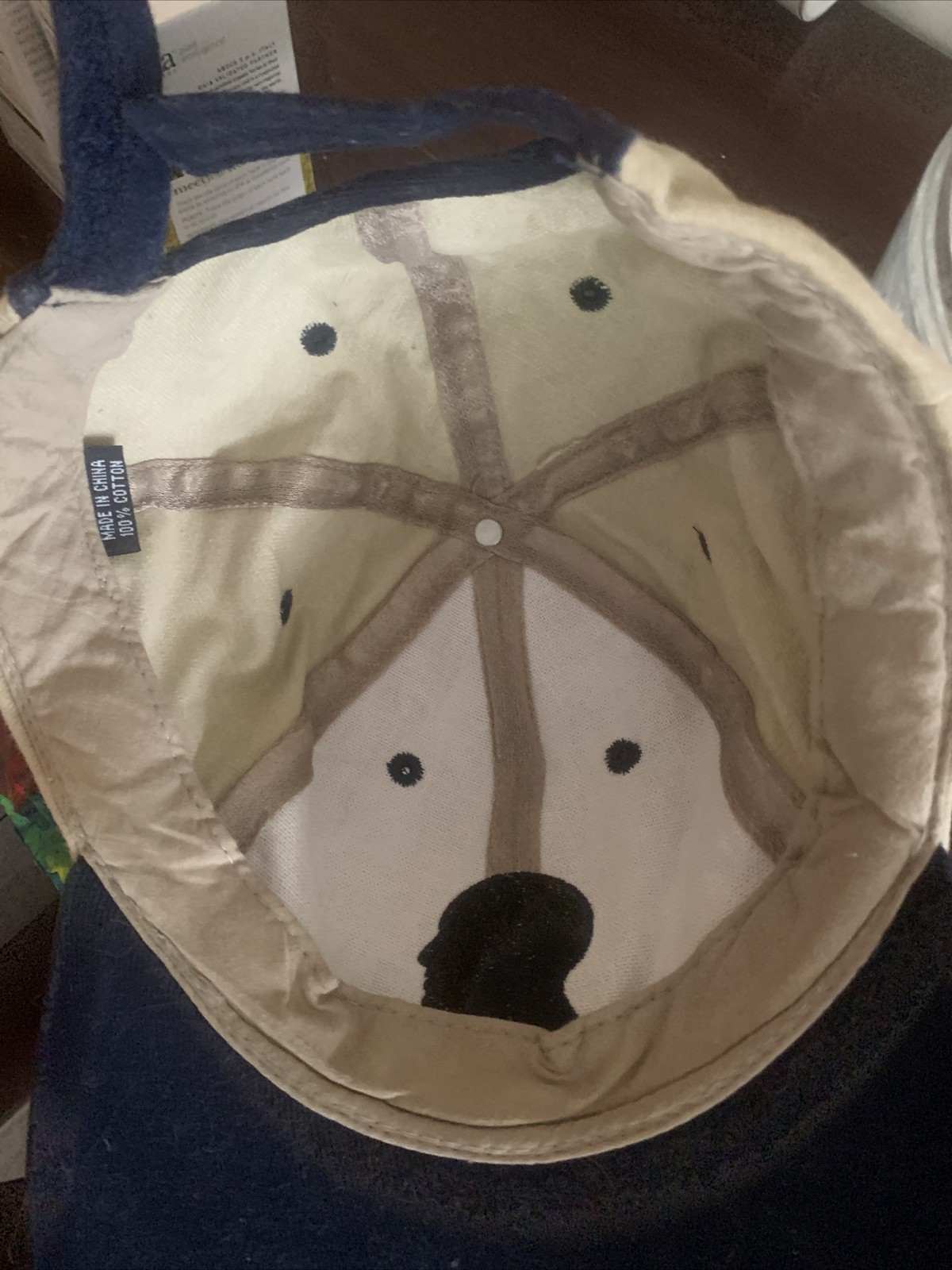 Paxil Baseball Cap Hat Rare Head Drug Rep Big Pharmaceutical