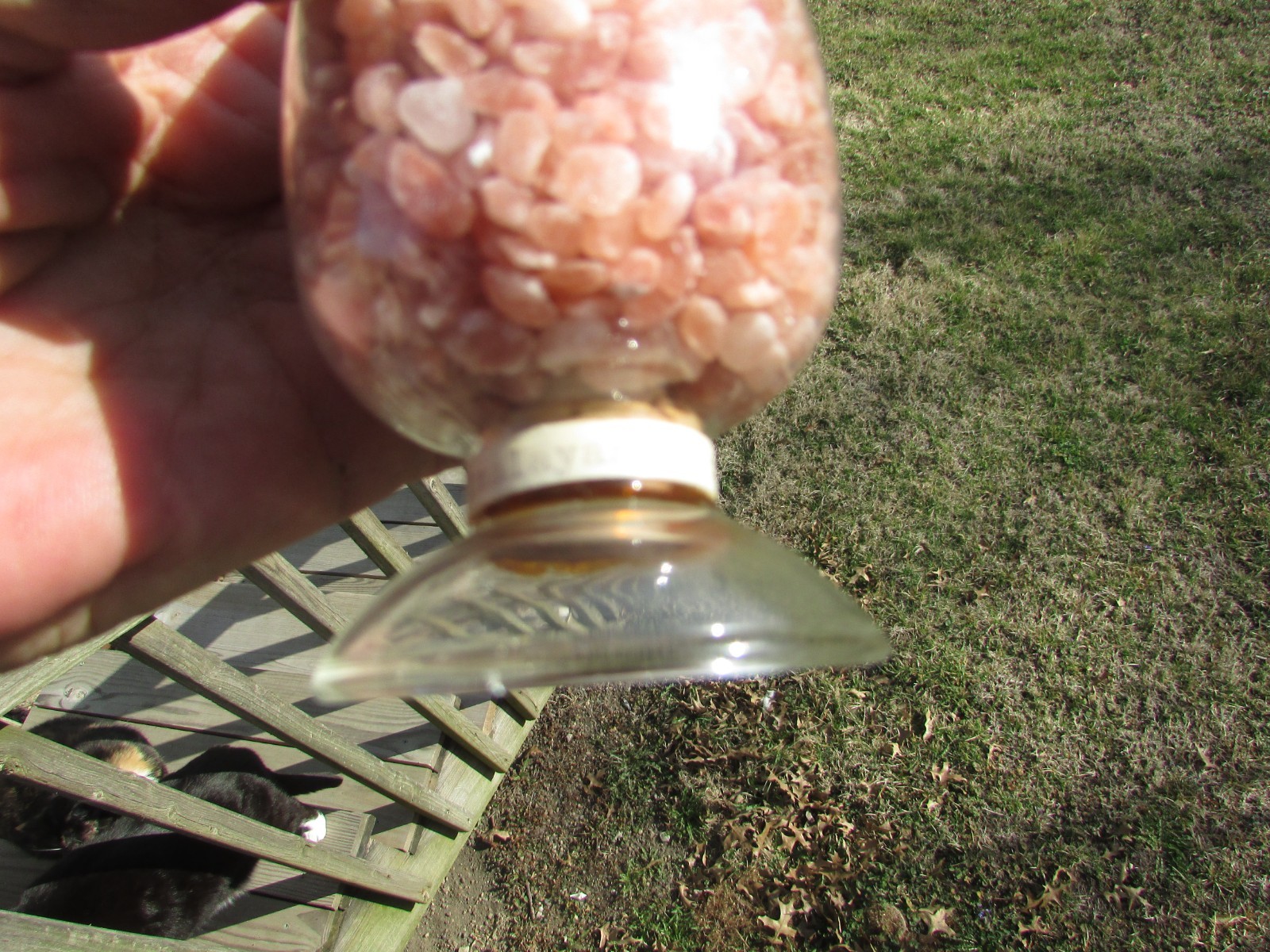 HIMALAYAN SALT Show Bottle DISPLAY Dome LABORATORY APOTHECARY SCIENCE Chemical !