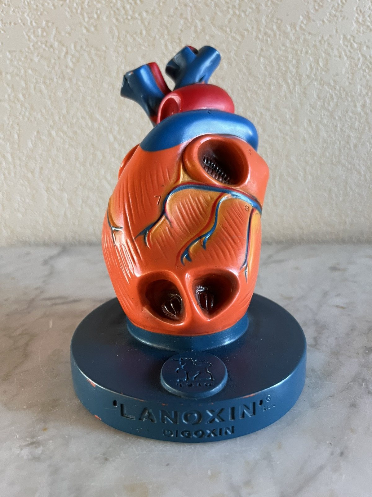Vintage Burroughs Wellcome & Co. Lanoxin Digoxin Heart Model 3D Diagram Labeled