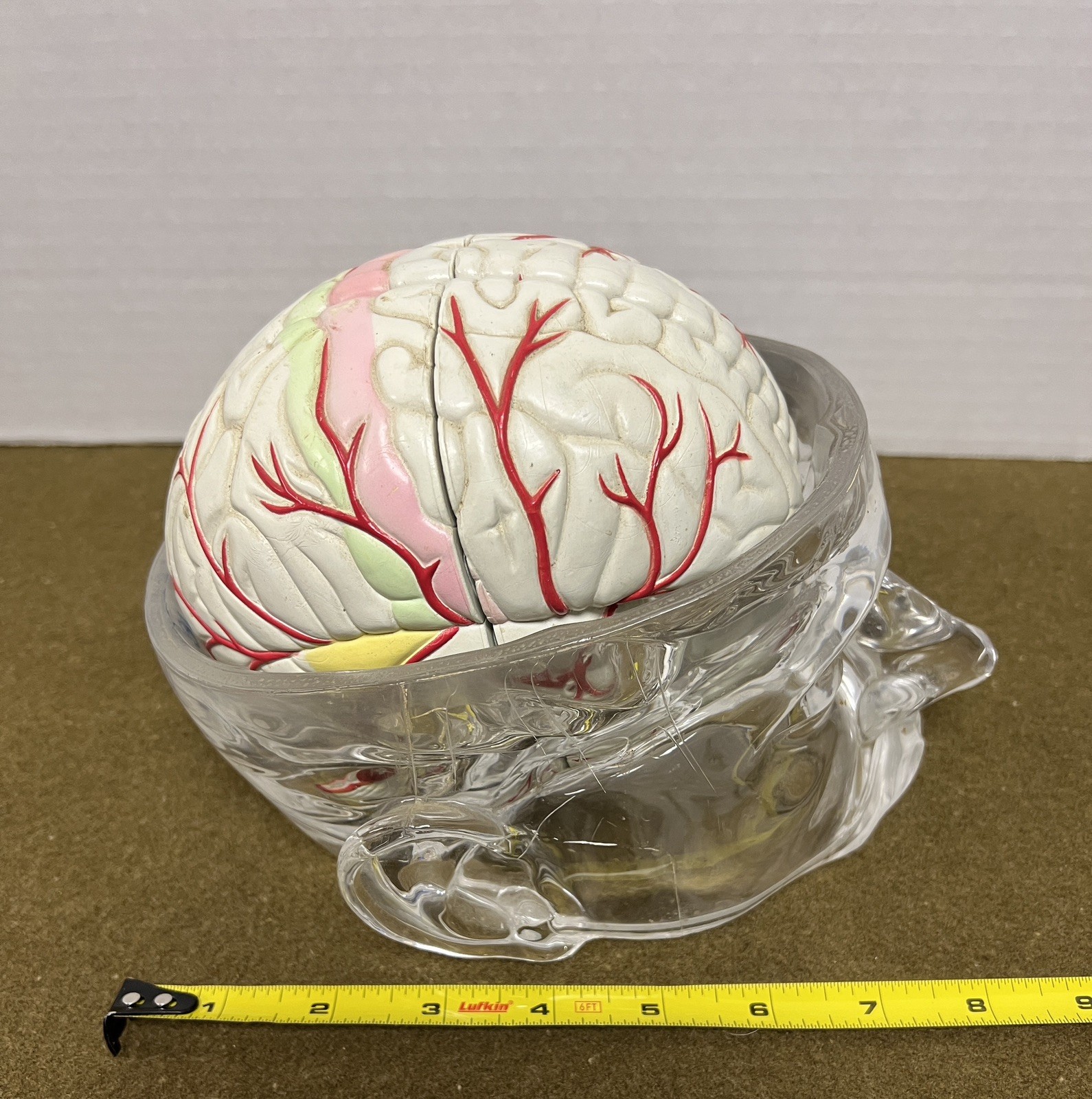 Seroquel Brain Model Pharmaceutical Advertising Display Research