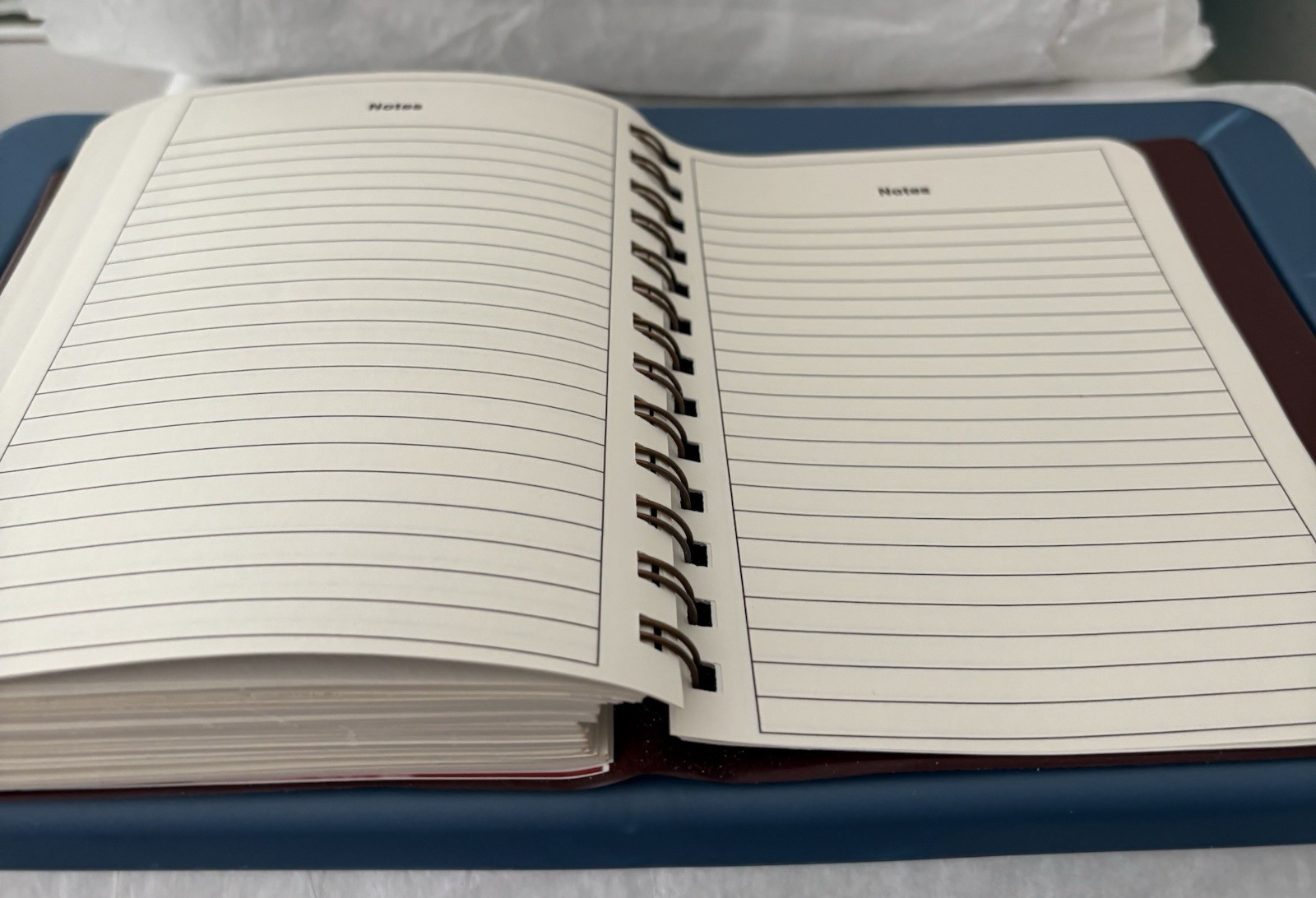 VTG 1985 ATIVAN SPIRAL DOCTOR’S DIARY, NOTEBOOK, PHARMA DRUG REP LOGO NEW NOS
