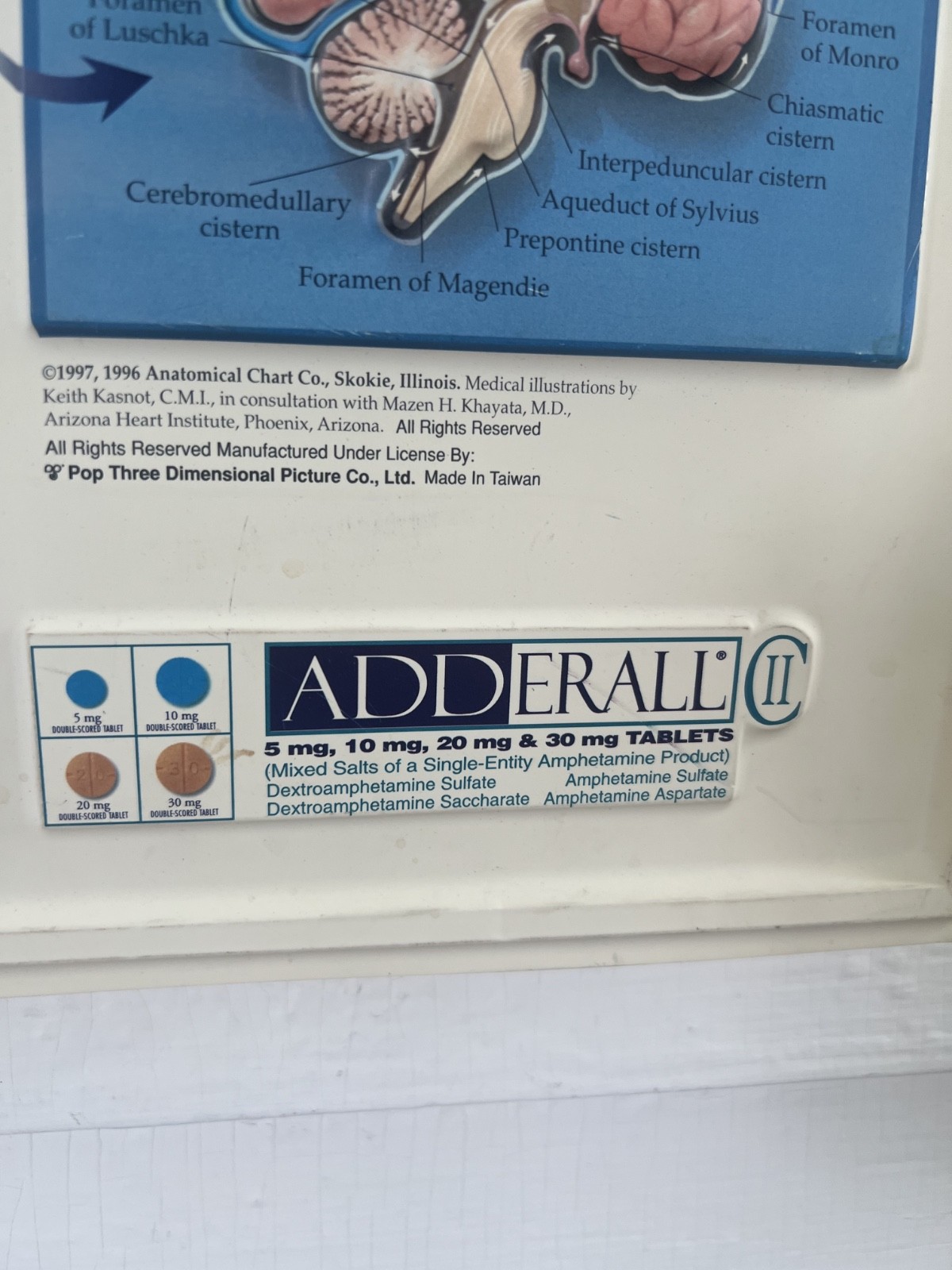 Rare Vintage ADDERALL Shire 3D Anatomy of the Brain Pharmaceutical Medical Chart